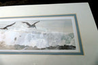 3X18" shorebirds pelicans flying Print R. folk NWS