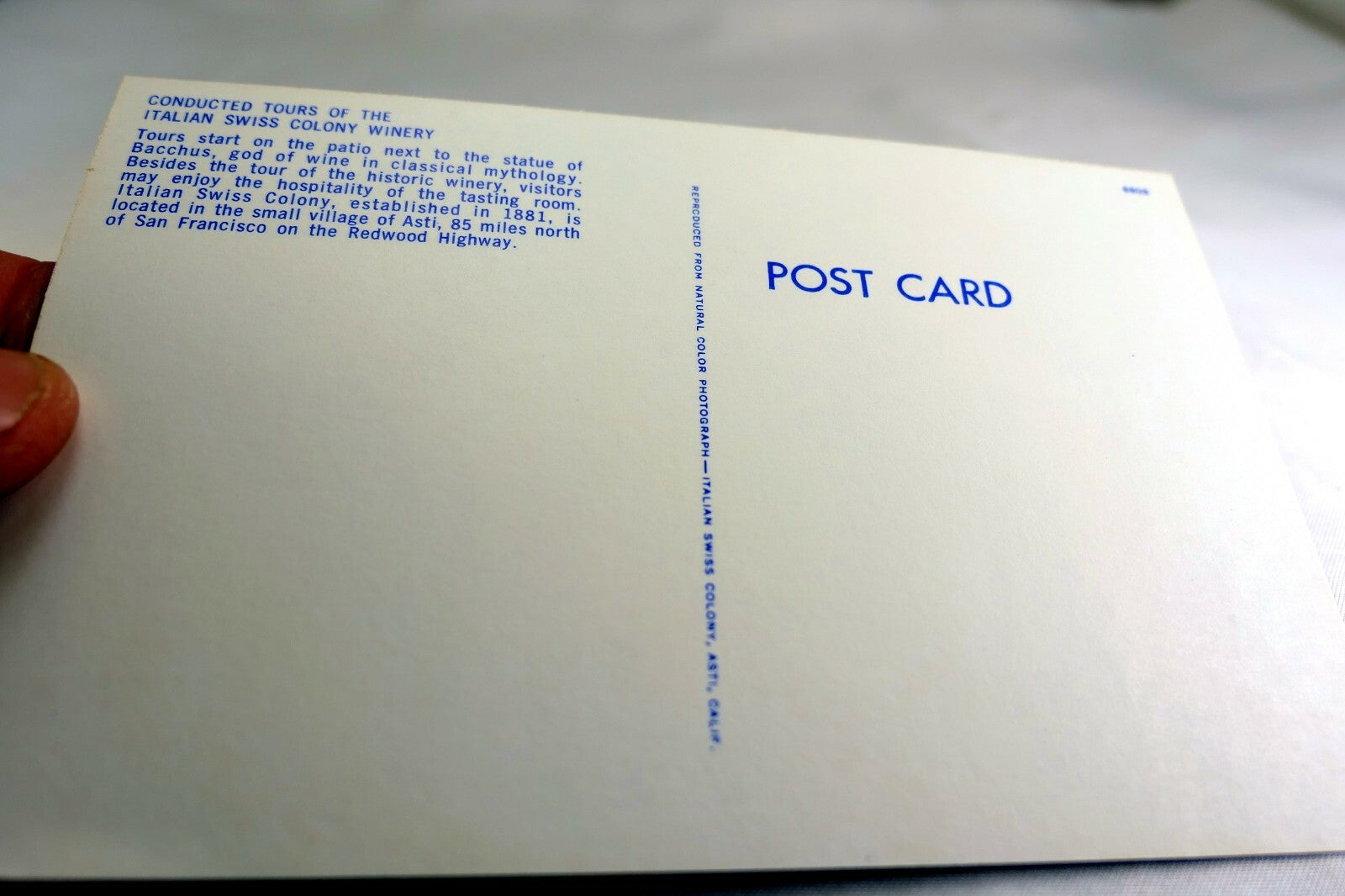 Italian Swiss Colony Wine Winery Tasting Room California USA Postcard 1970's