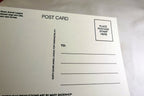 Note for You Postcard Animal Shelter North Shore League Adopt a Pet Kitten Cat