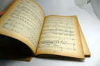 Falstaff Giuseppi Verdi Libretto Opera 1893 Matz Boito Arrigo Boito Milano Italy