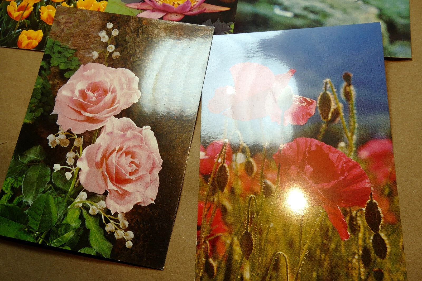 Germany Unposted Postcard Lot pack of 5 Owl Flowers Tulip Rose Lily 1980's