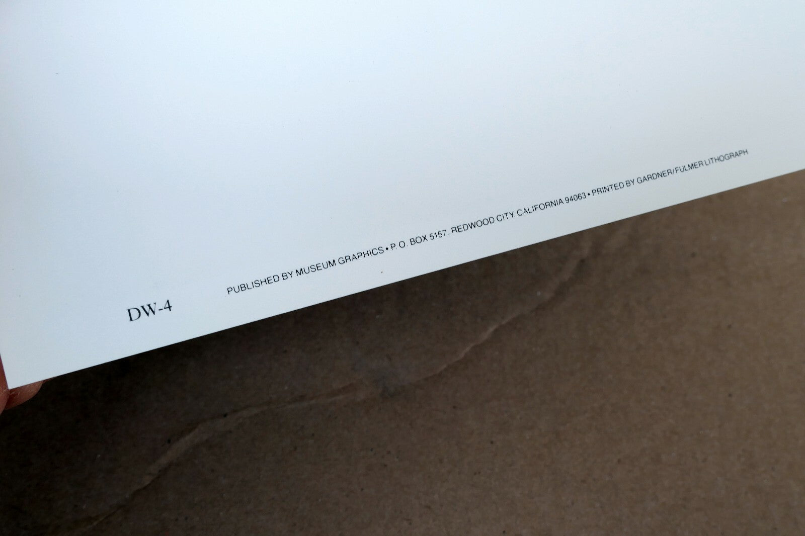 1976 Succulent Flower Agave Attenuata Photograph by Don Worth POSTCARD DW-4