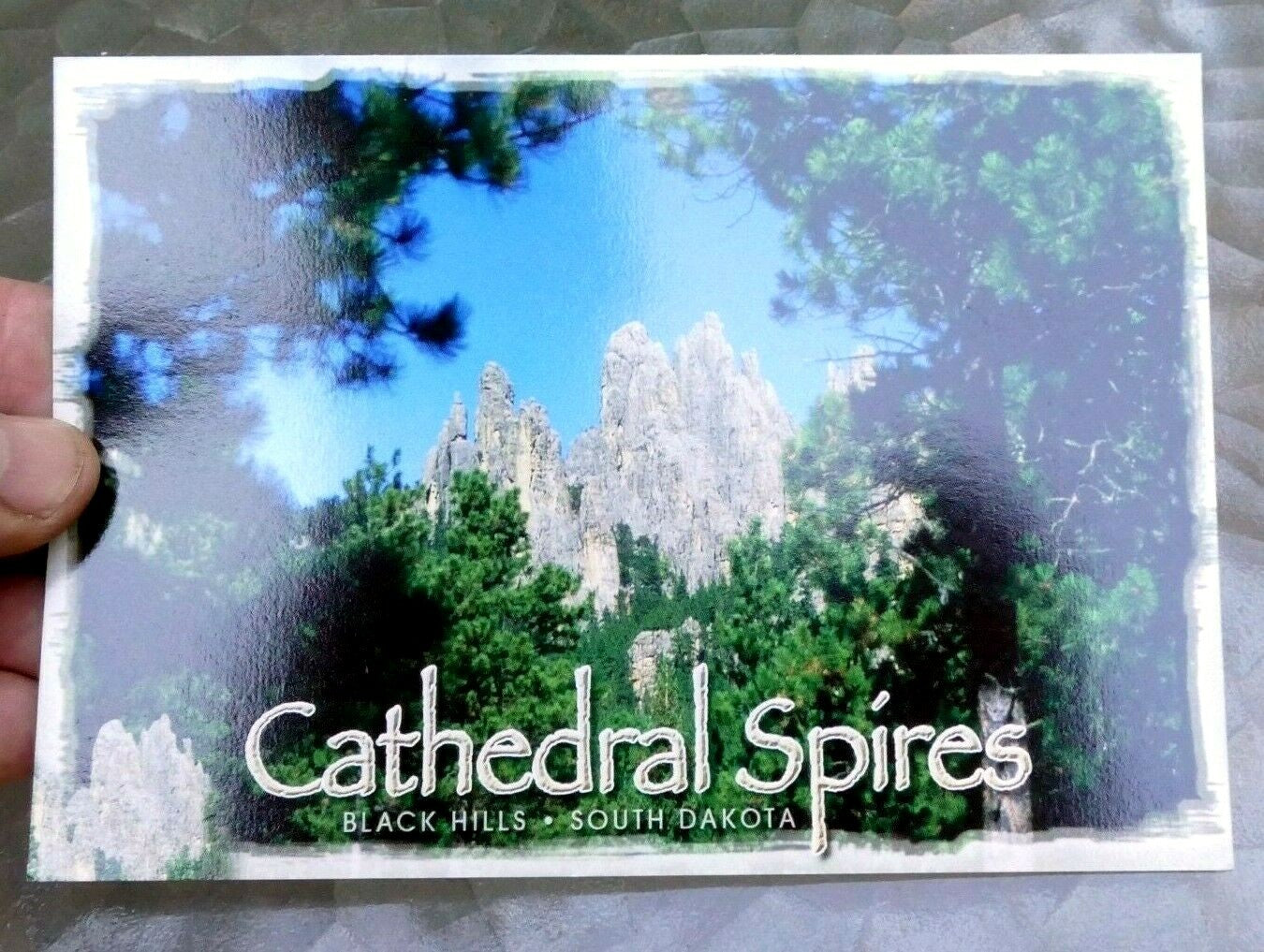 Cathedral spires black hills south dakota postcard