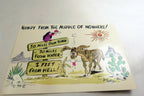 Howdy From Middle of Nowhere! Cowboy Postcards Arizona Phoenix Wild West Cowboy