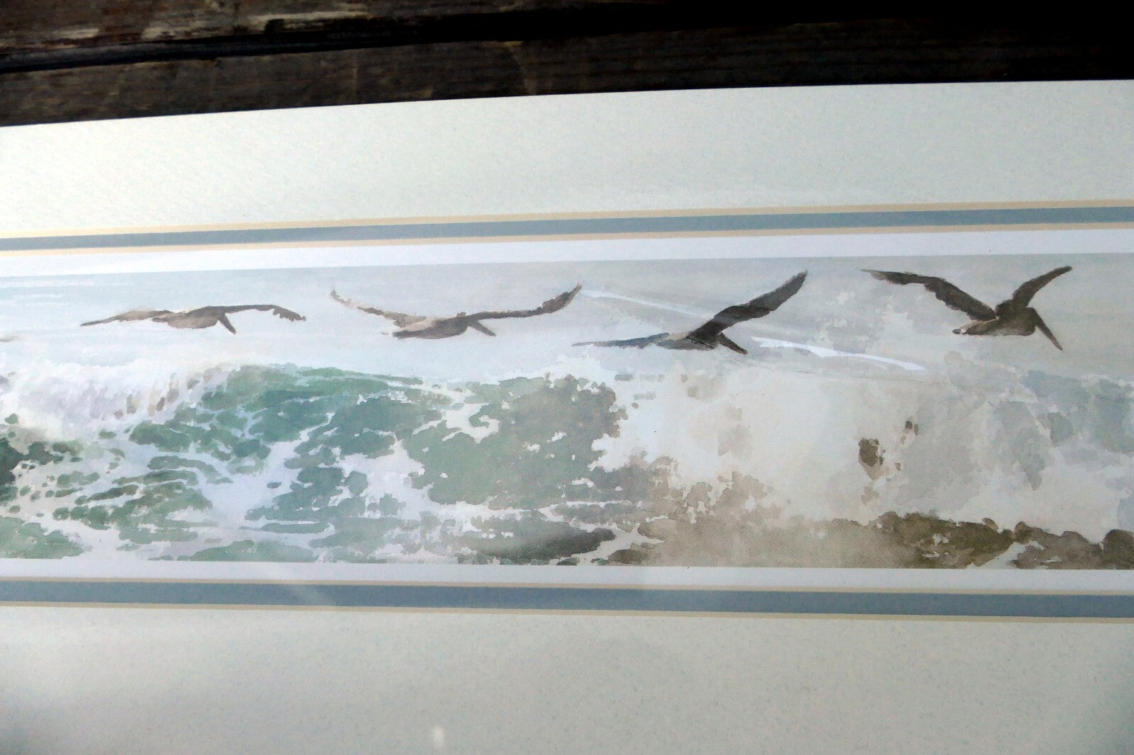 3X18" shorebirds pelicans flying Print R. folk NWS