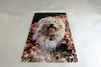 Greeting Postcard Animal Shelter North Shore League Dog Puppy adopt a pet! 1980'