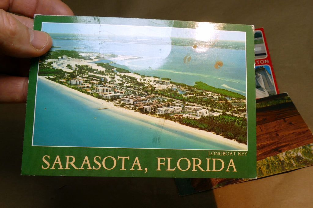 Postcard lot of 4  Posted USA California Sequoia Florida, Wisconsin Washington