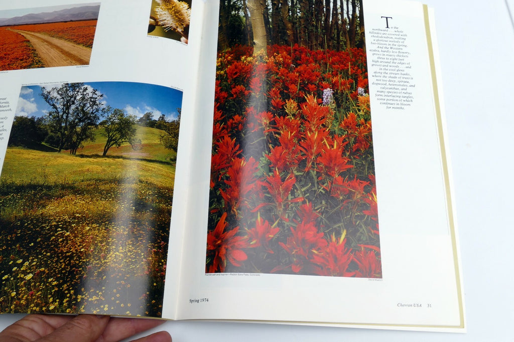 Spring 1974 Chevron USA Travel Club Magazine Kite Time, Expo '74, Path to Yukon