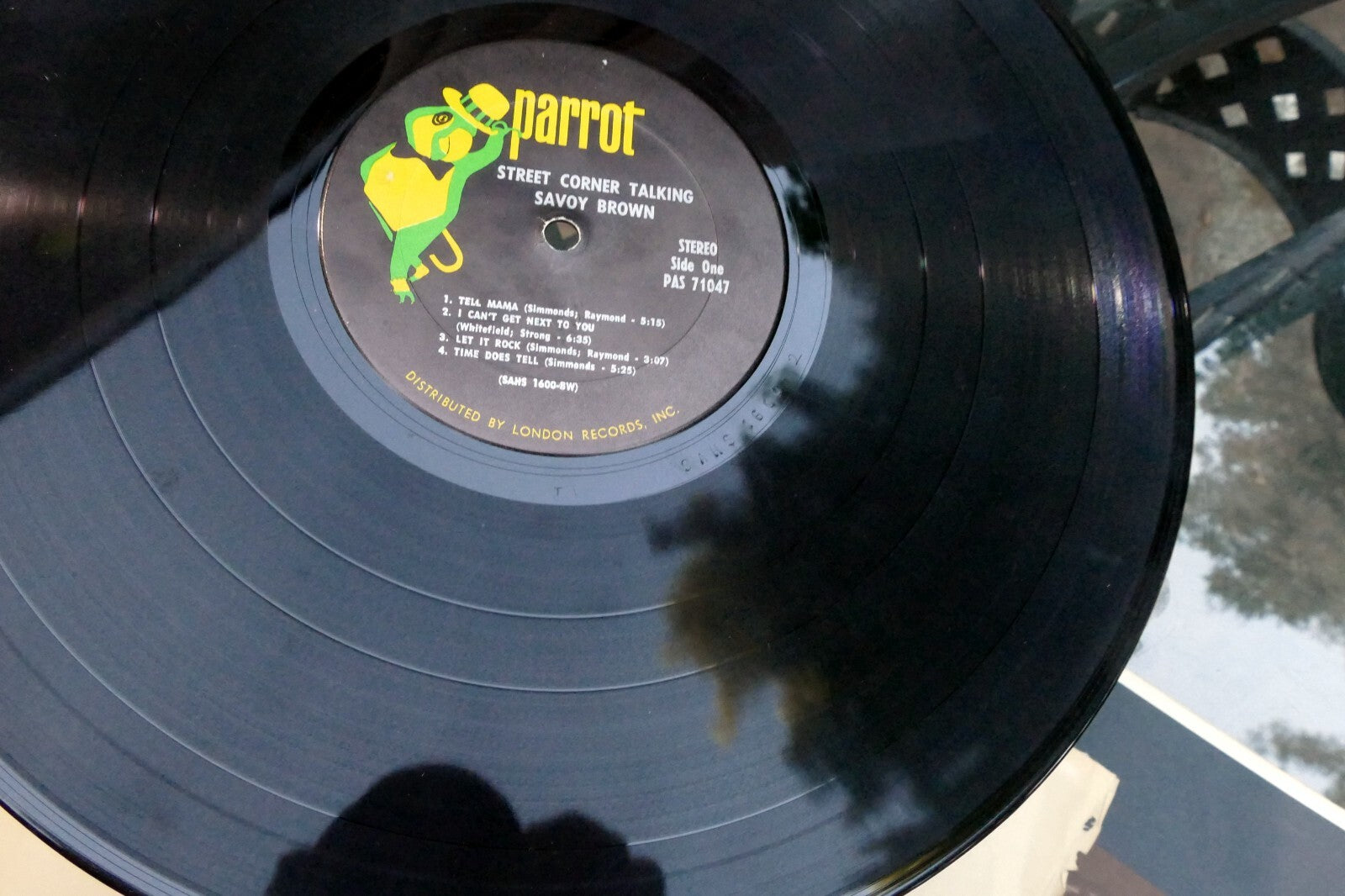 Savoy Brown Street Corner Talking USA 12” Vinyl Parrot – PAS-71047 SAHS-1600-TH