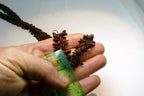 Brown Hawaiian Koa Seed Lei Single Strand Necklace 24" Boho Jewelry