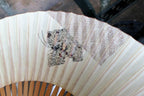 Japanese hand folding fan, bamboo with cricket hand painted