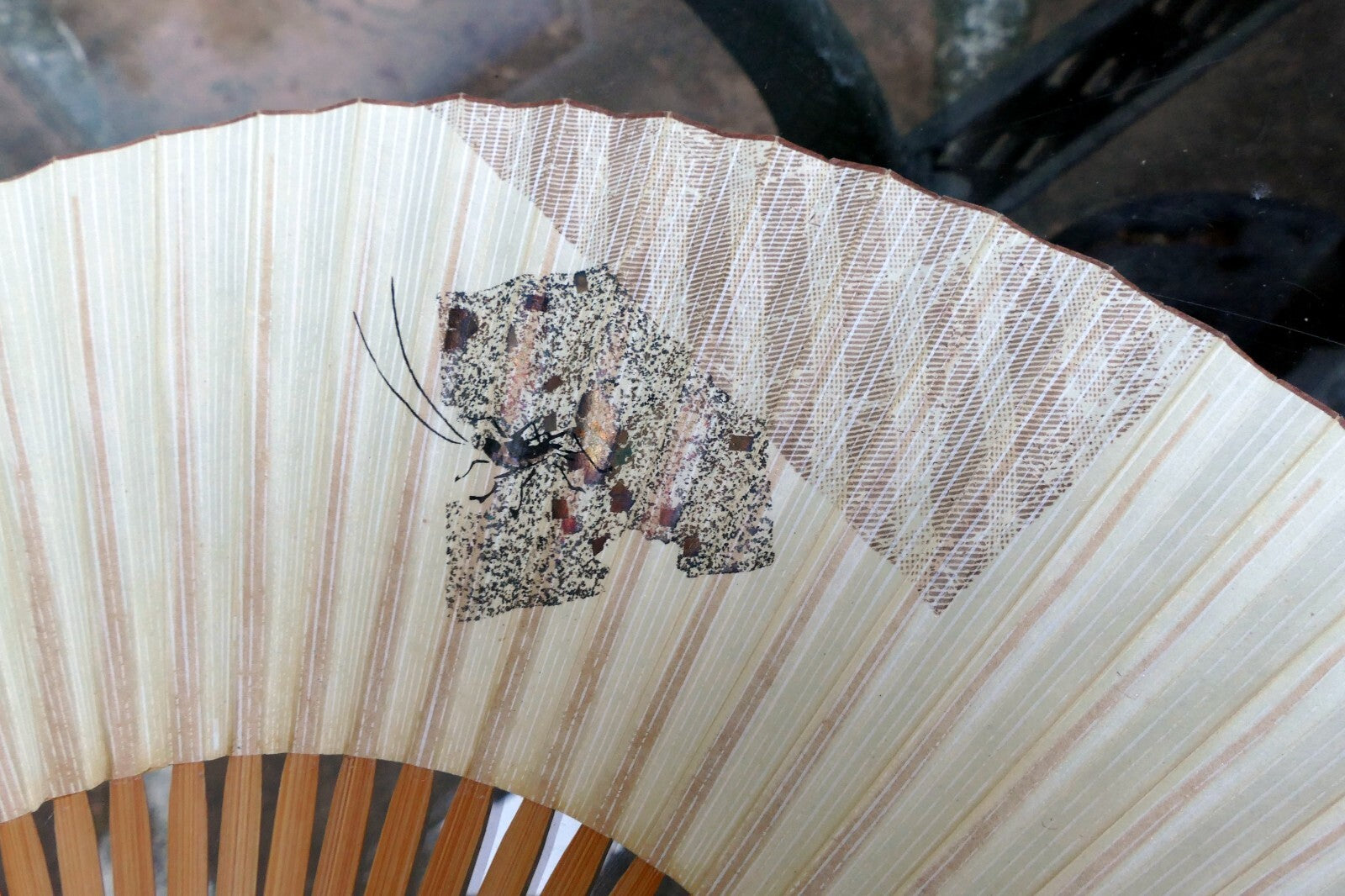 Japanese hand folding fan, bamboo with cricket hand painted