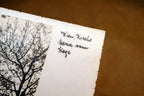 Wien - Kirche Maria vom Siege postcard Austria 1930's  - unposted