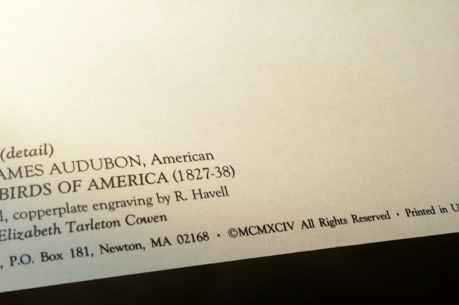 Songbirds John James Audubon Postcard Postcard unposted set of 5 lot