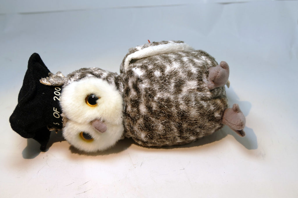 2000 TY Beanie Babies - Smart Owl Class of 2001