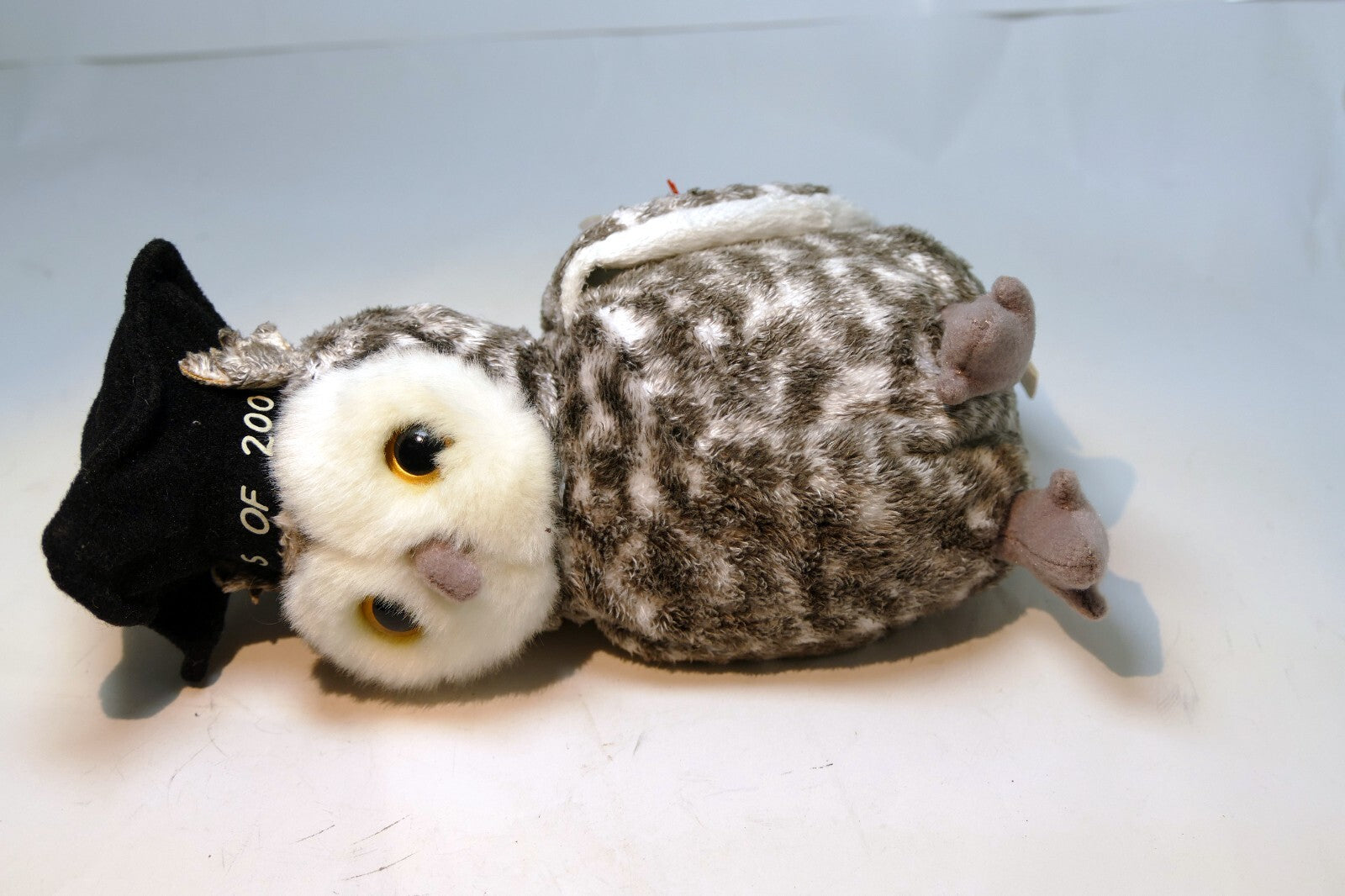 2000 TY Beanie Babies - Smart Owl Class of 2001