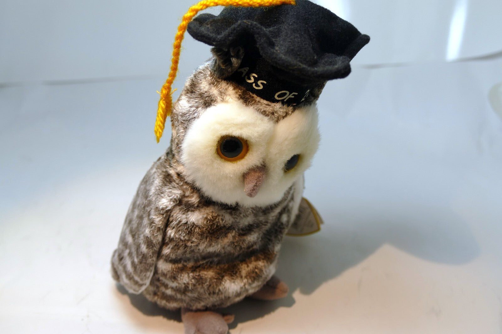 2000 TY Beanie Babies - Smart Owl Class of 2001