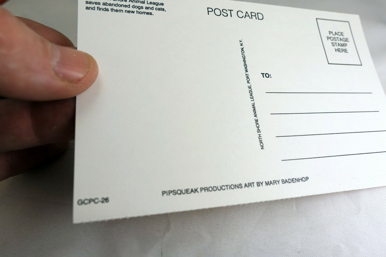 Note for You Postcard Animal Shelter North Shore League Adopt a Pet Kitten Cat