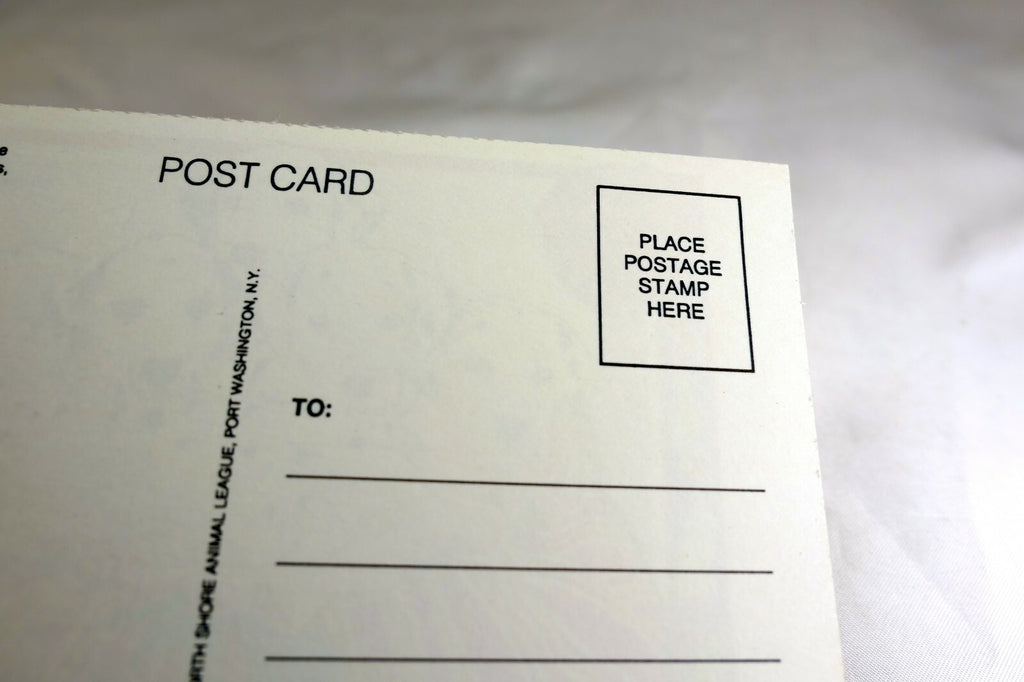 Get Well Postcard Animal Shelter North Shore League Dog Puppies 1980's