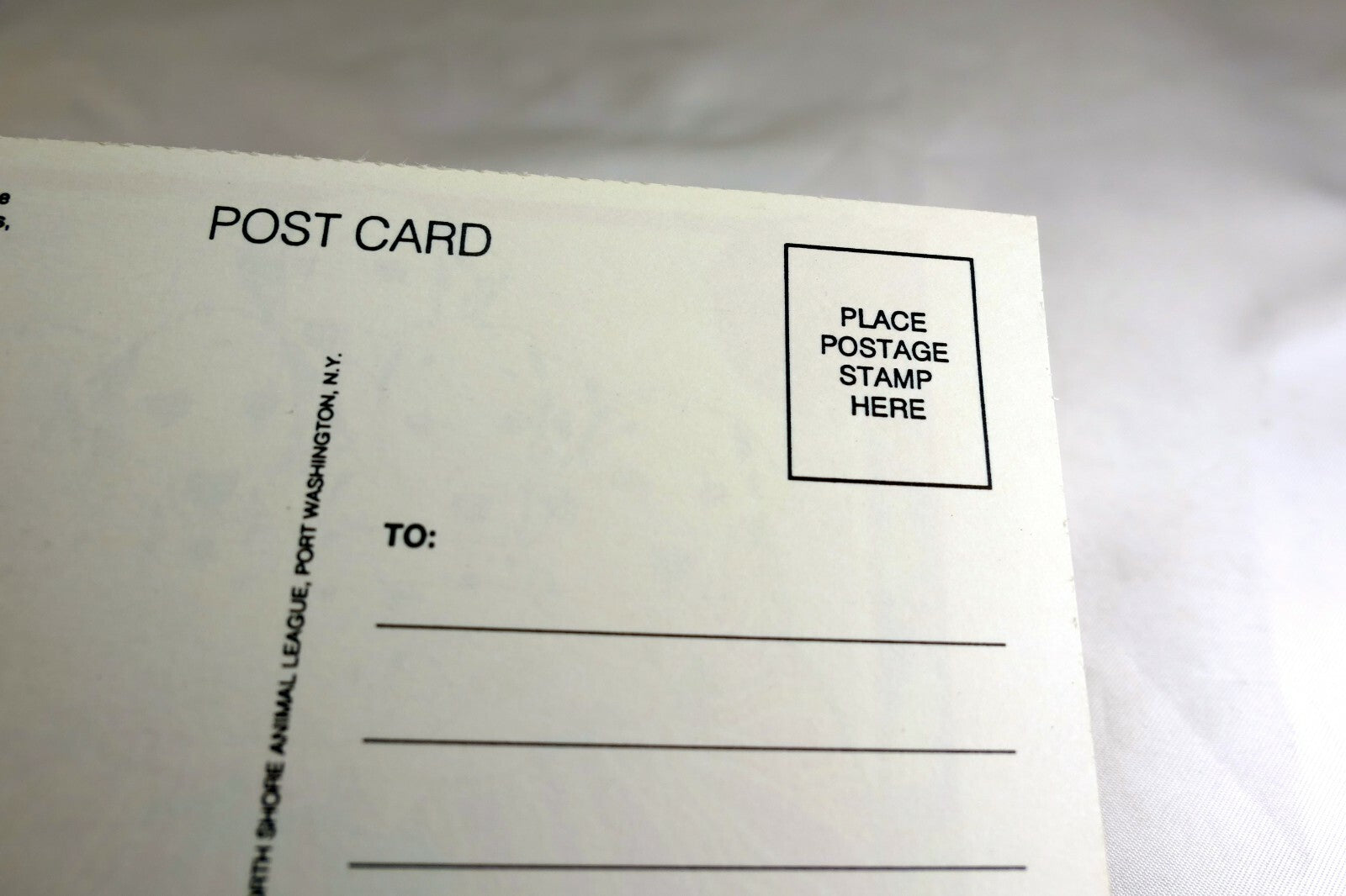 Get Well Postcard Animal Shelter North Shore League Dog Puppies 1980's