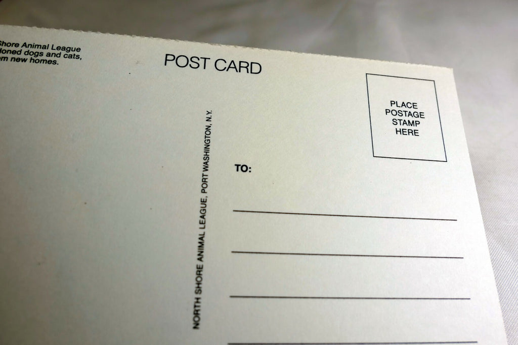 Just a Note Postcard Animal Shelter North Shore League Adopt a Pet Kitten 1980's