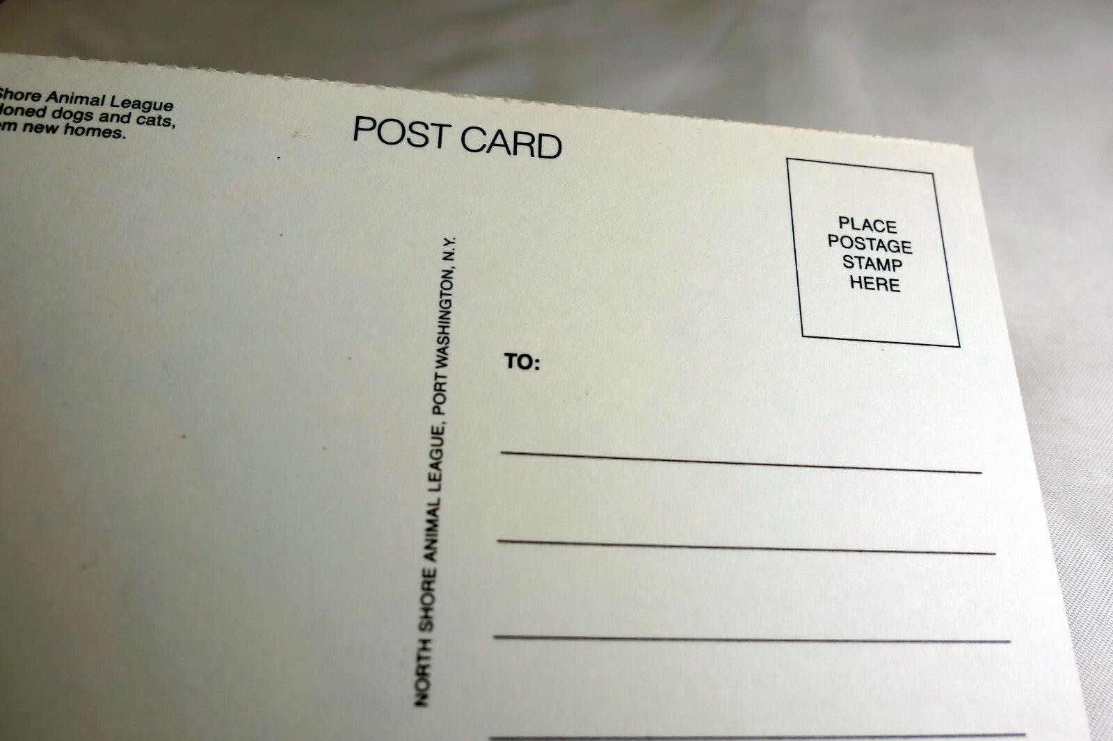 Just a Note Postcard Animal Shelter North Shore League Adopt a Pet Kitten 1980's