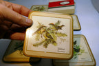 Pimpernel Beverage Coasters Wild Birds Set of 5 Square 4"  England European pack