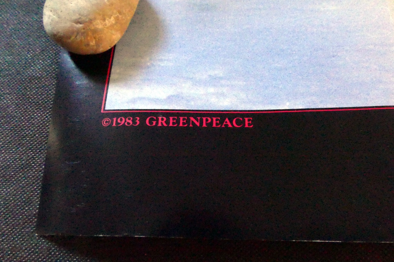 Greenpeace Save The Seal Pup 1983 warming ocean ice float poster 17X24"