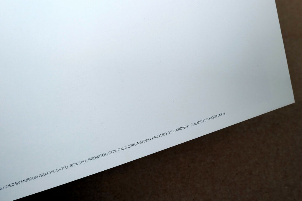 Tenaya Creek Dogwood Rain 1948 photograph by Ansel Adams POSTCARD AA-20