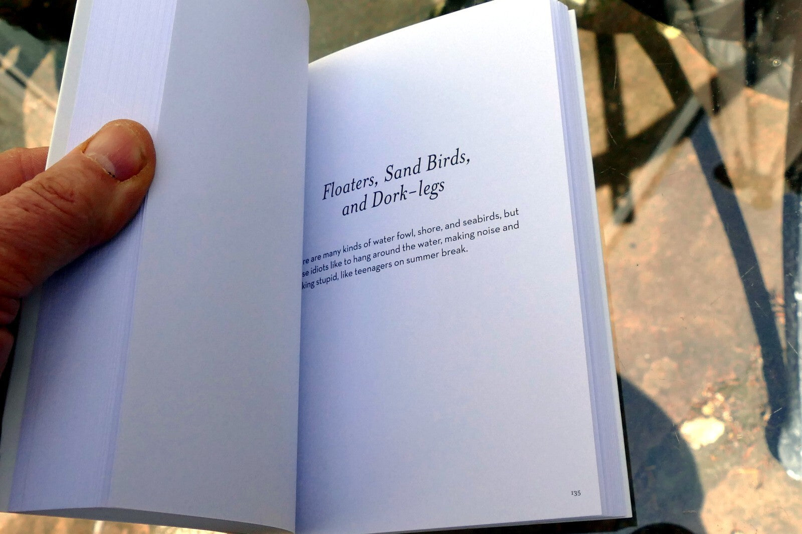 The Field Guide to Dumb Birds of the Whole Stupid World (Paperback or Softback)