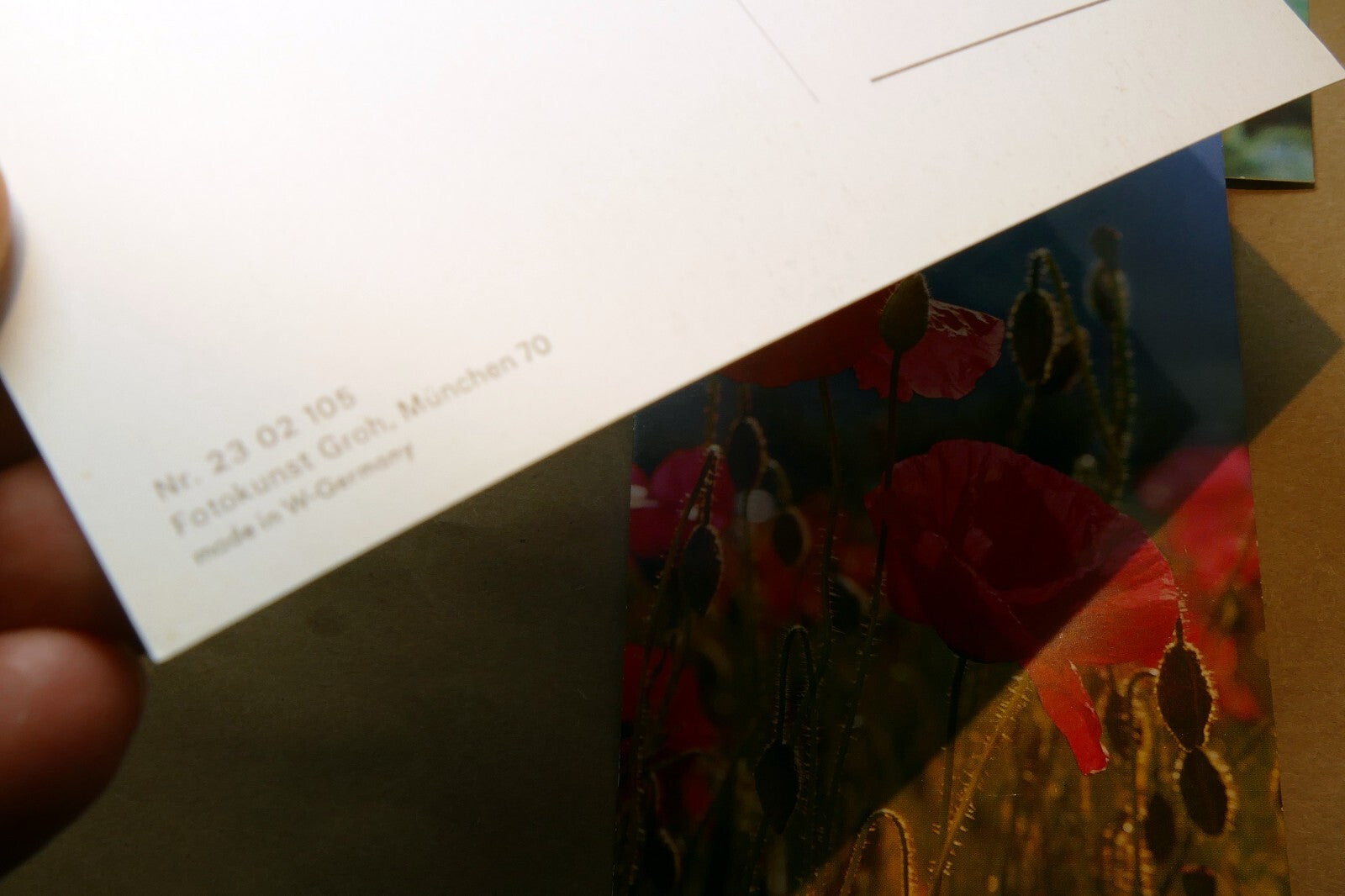 Germany Unposted Postcard Lot pack of 5 Owl Flowers Tulip Rose Lily 1980's