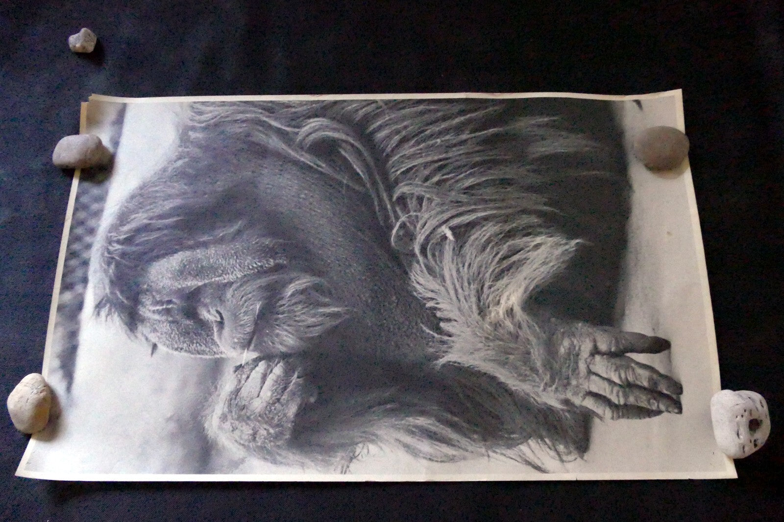 Orangutan old male make love Vintage poster 1971 black and white
