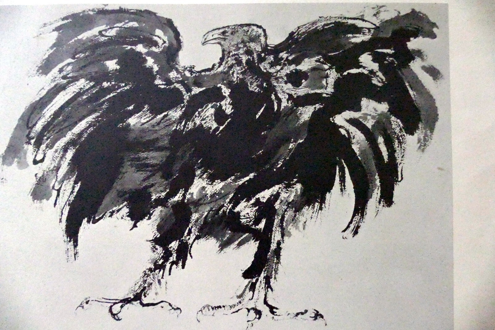 Leonard baskin "eagle" woodcut print   numbered 54, unframed   vintage