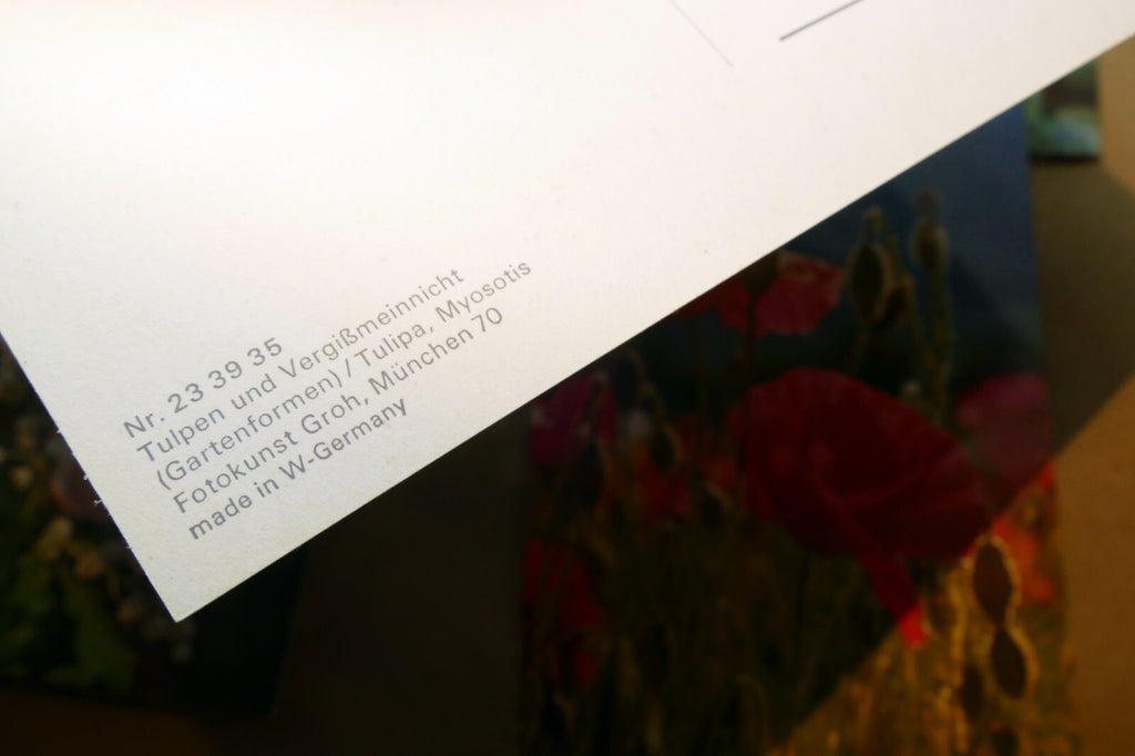 Germany Unposted Postcard Lot pack of 5 Owl Flowers Tulip Rose Lily 1980's