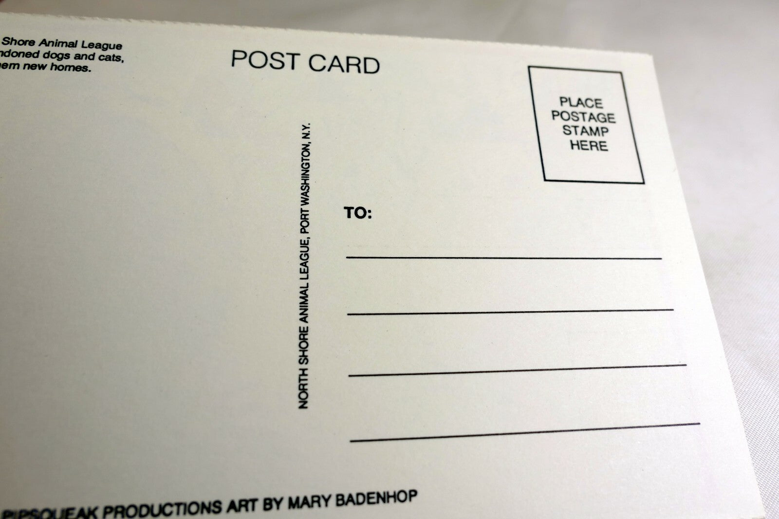 Hello! Postcard Animal Shelter North Shore League Adopt a Pet Kitten Cat vintage