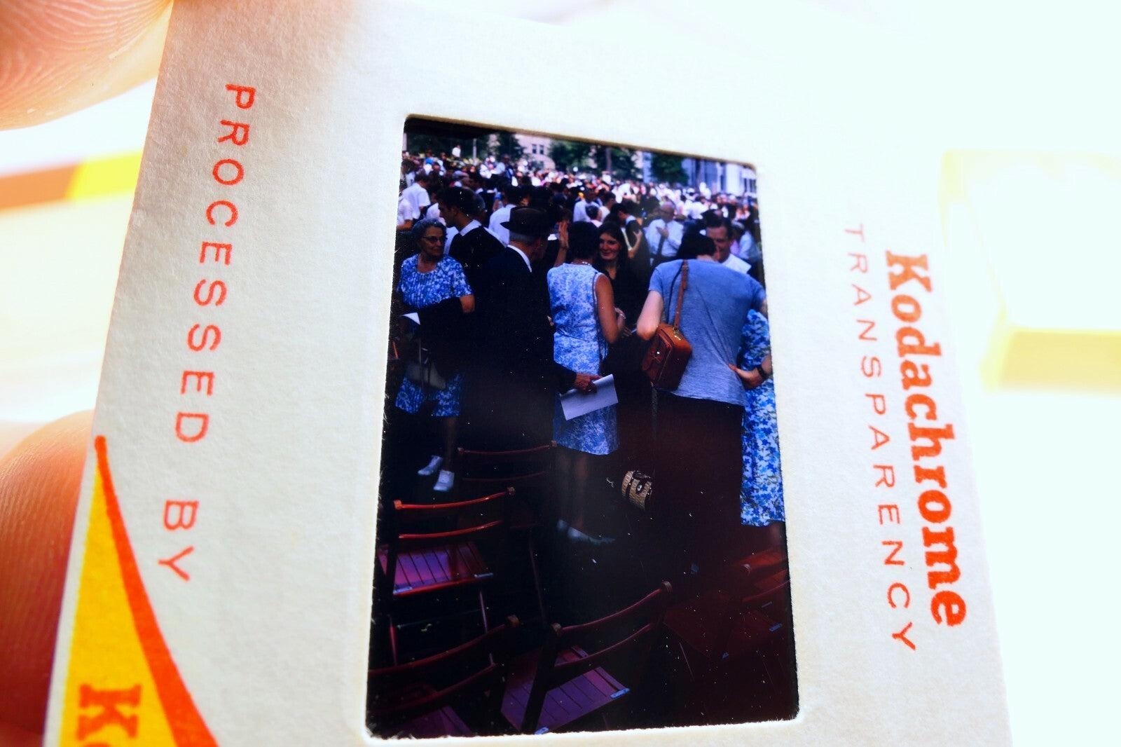 Kodak Slides 1968 Jennings Law UC Berkeley school graduation  pictures