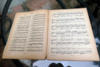 Cramer-Bülow 60 ausgewählte Etuden choisies Sheet Music 1900 Heft III