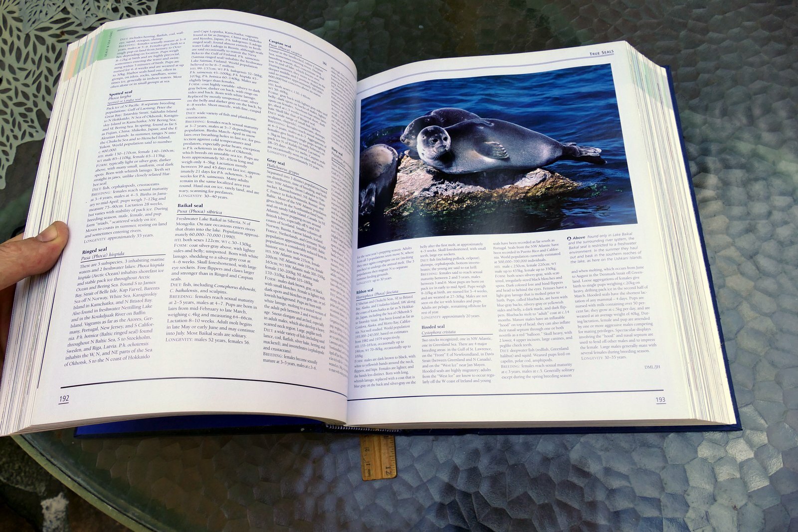 The New Encyclopedia of Mammals by David Macdonald Sasha Norris 2006 hardcover
