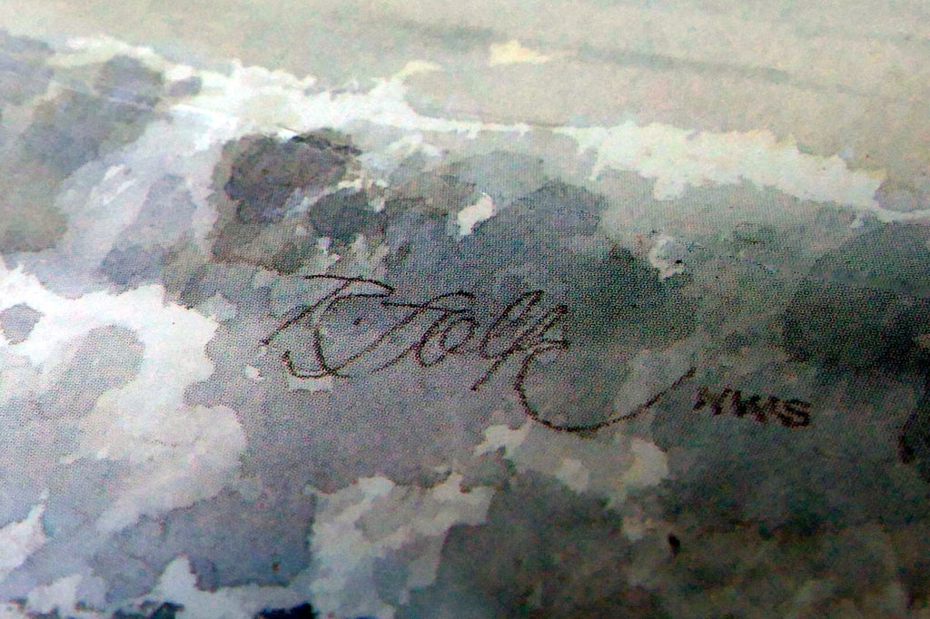 3X18" shorebirds pelicans flying Print R. folk NWS