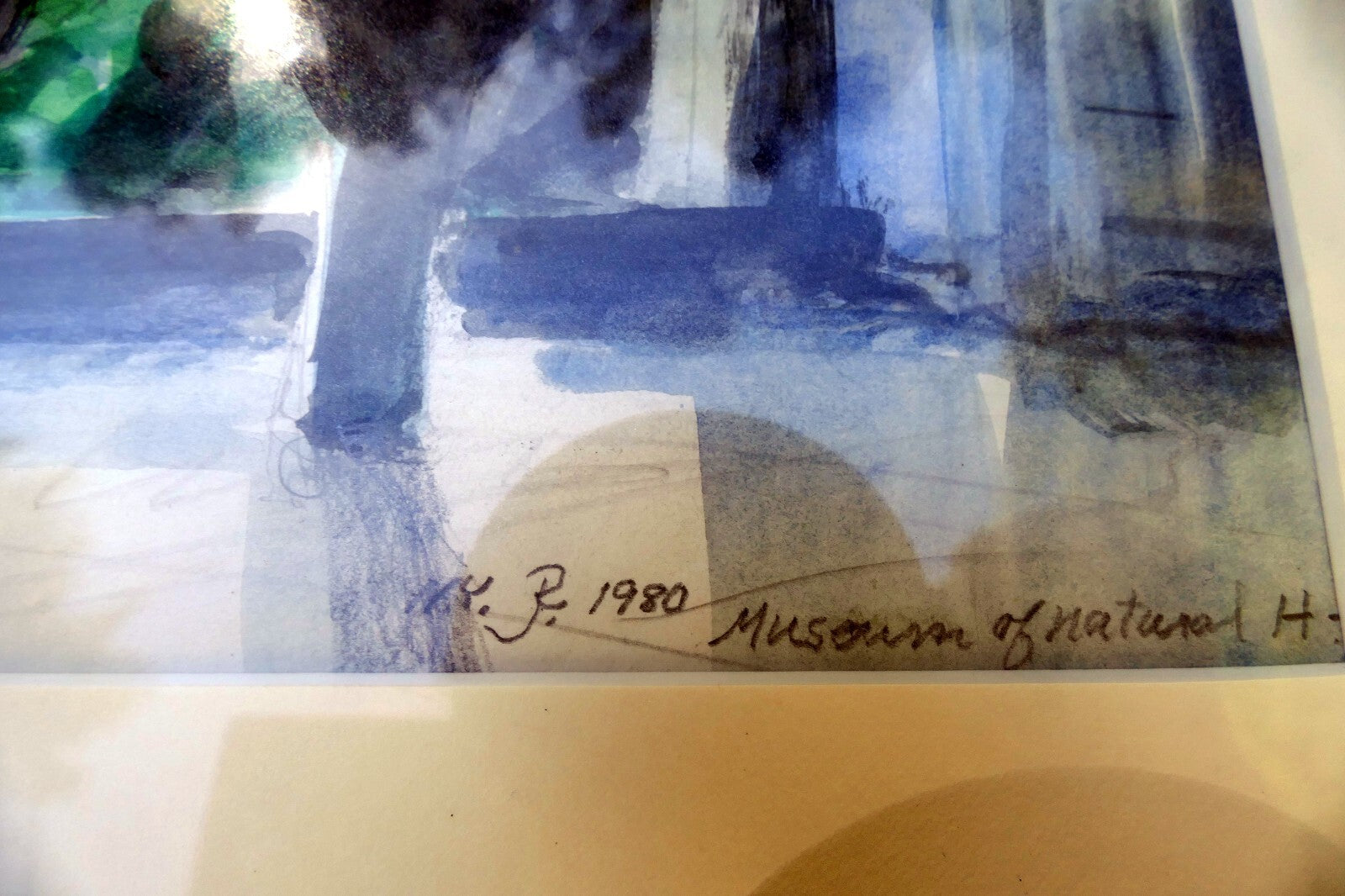 NY Museum of Natural History  original watercolor painting 1980 signed by  J.R.