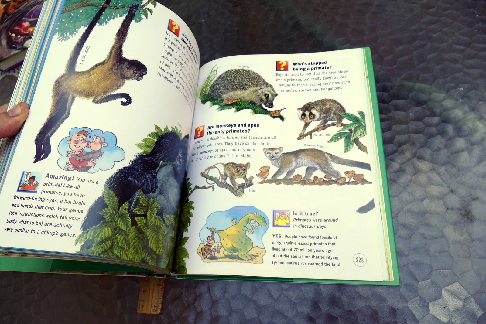 Questions and Answers Wild Wild World (Hardcover) Book Dangerous Exciting Animal