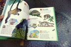 Questions and Answers Wild Wild World (Hardcover) Book Dangerous Exciting Animal