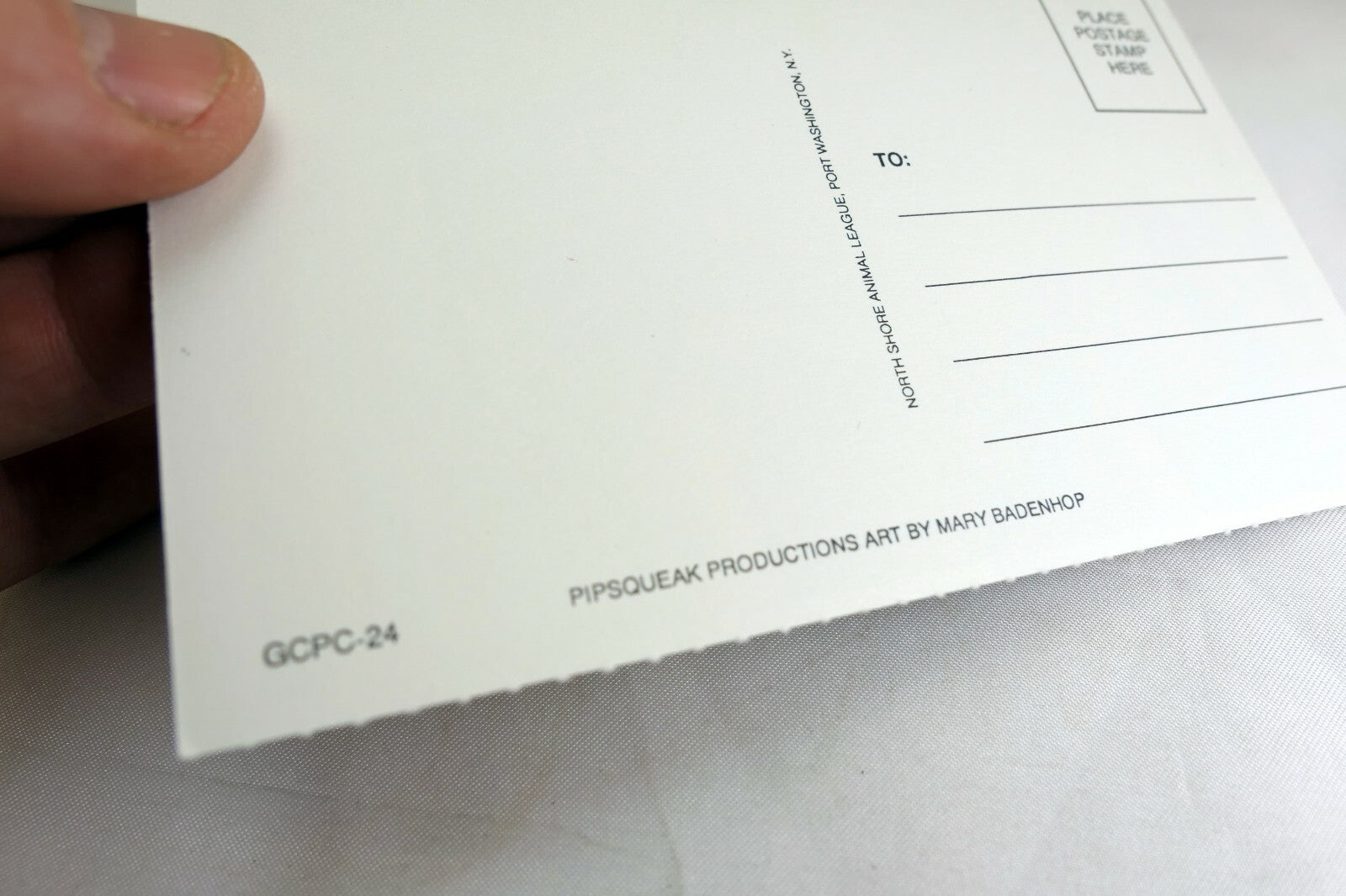 Just a Note Postcard Animal Shelter North Shore League Adopt a Pet Kitten 1980's