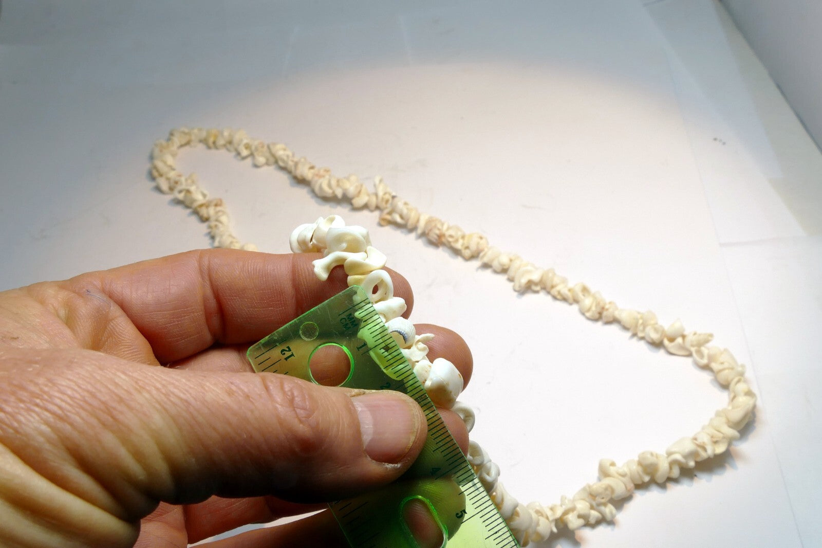 Cowrie Shell 17" Necklace Lei Jewelry Boho Surfer White ocean pacific hawaii