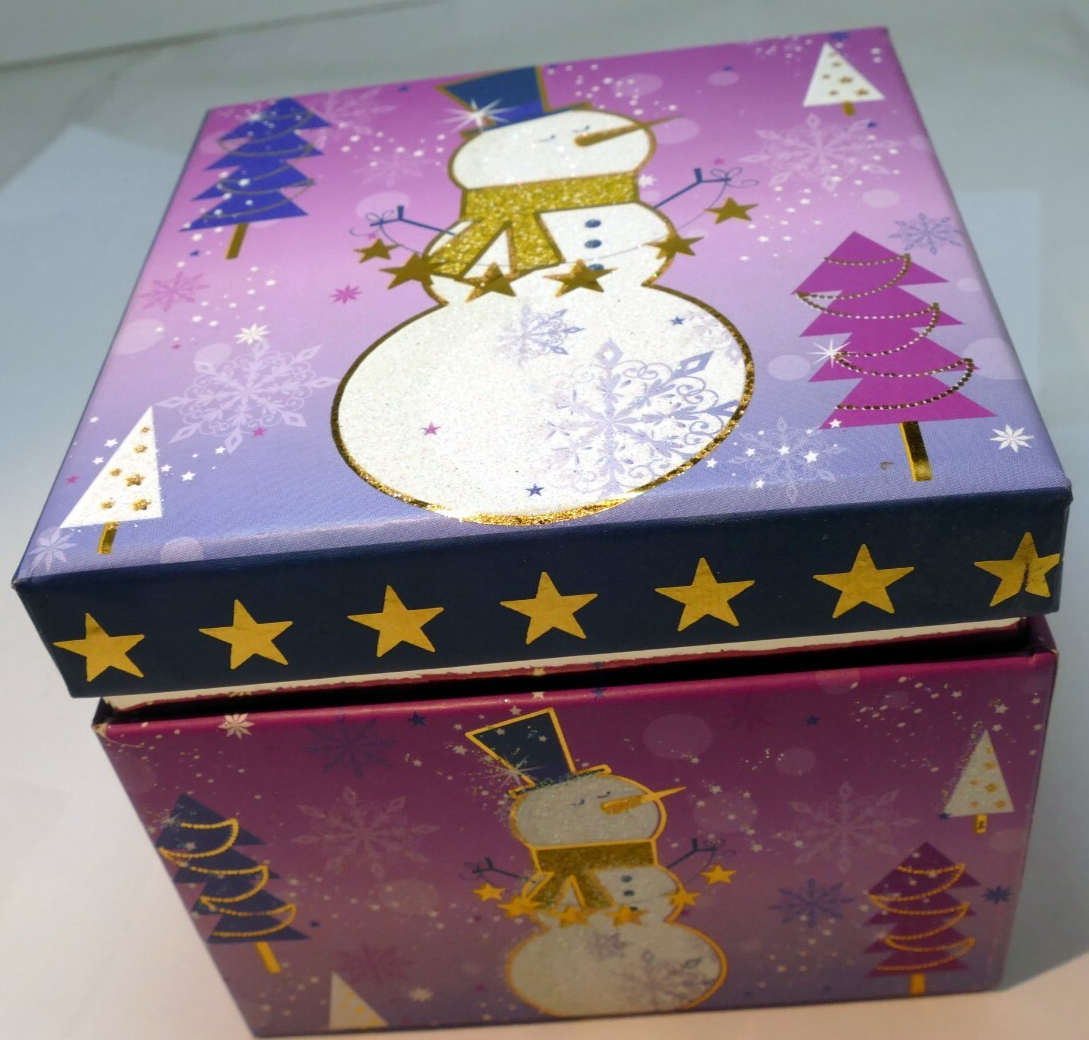 Empty merry christmas snowman w/ stars cardboard box snow forest purple gifts