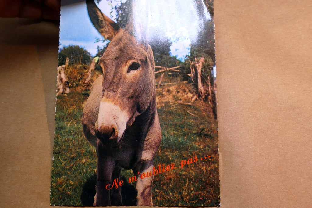 Donkey ne m'oubliez pas... postcard Paris (France) No 7108  - unposted