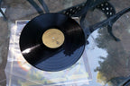 Original The Beau Brummels Triangle LP Album 1967 Warner Bros WS 1692