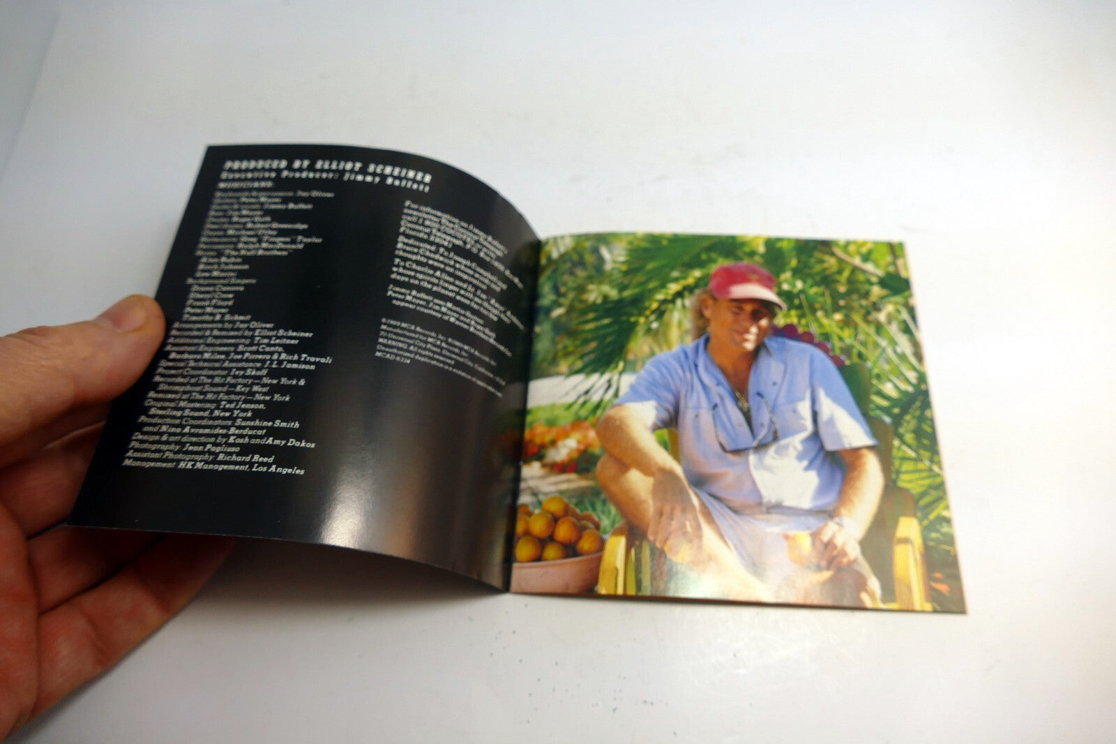 INLAY Cover ART Only NO Case, or CD included -  Jimmy Buffett to See The Lizard