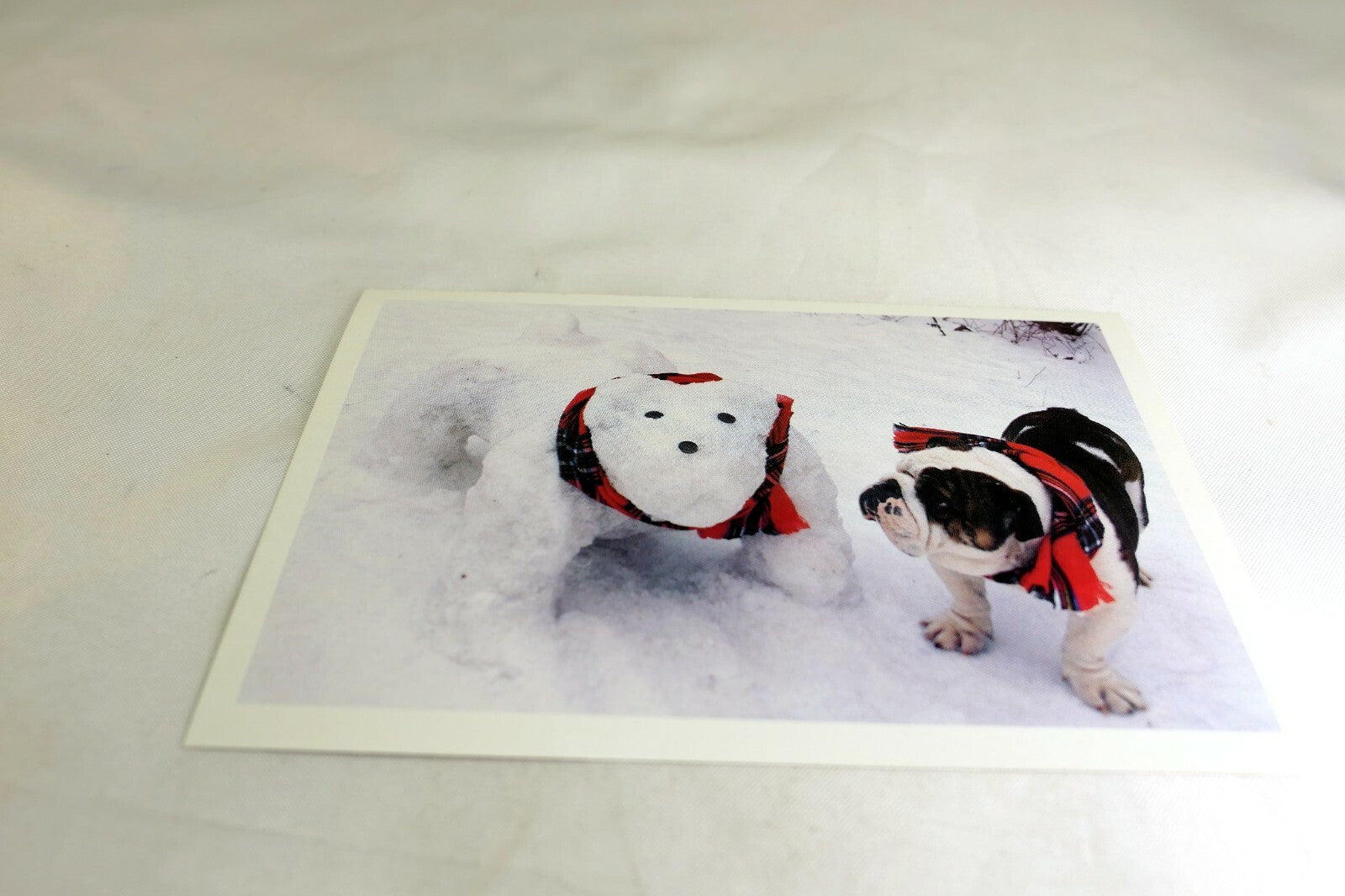 Greeting Postcard Animal Shelter North Shore League Dog Puppies Snowman bulldog