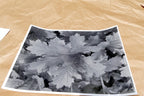 Tree Leaf  11X14" Black & white Picture Photo San Francisco USA